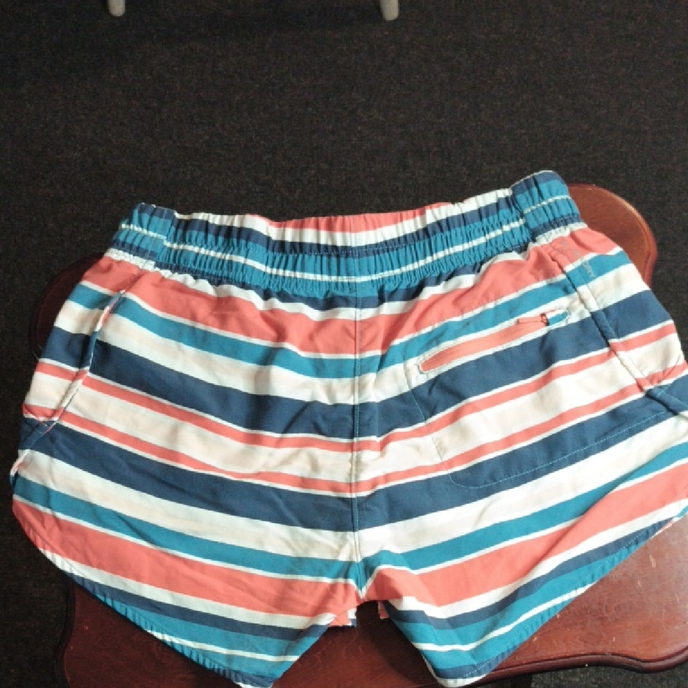The North Face Athletic Shorts Blue and Pink Striped